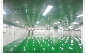 凈化實(shí)驗(yàn)室應(yīng)該如何選擇材料，有什么要求【東鑫凈化】